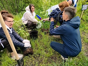 Сотрудники Представительства высадили сирень в честь 80-летия Великой Победы Сотрудники Представительства высадили сирень в честь 80-летия Великой Победы